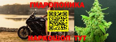 гидра Усть-Илимск