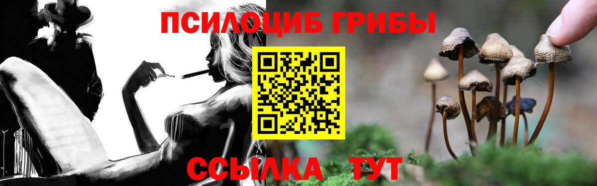 наркота  Вход с VPN  Аша  Галлюциногенные грибы MAGIC MUSHROOMS  Галлюциногенные грибы Psilocybine cubensis 